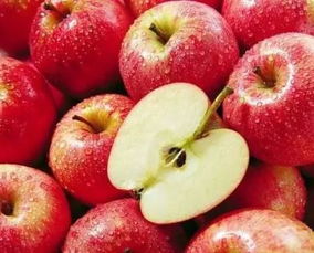春季养生食谱安卓下载苹果的简单介绍,春季养生食谱安卓下载苹果的简单介绍,第3张